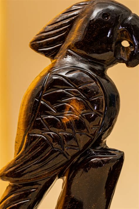 Shop Gemstone Tiger Eye Parrot | Gem Stone | Gem Anatomy – GemAnatomy