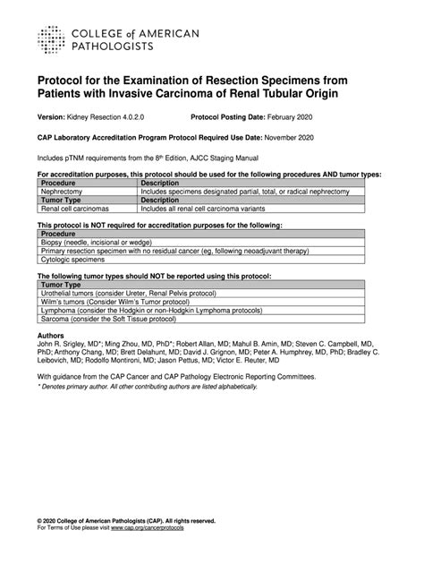 Kidney Resection Protocol - Blank Fillable Template | Fill Out, Print ...