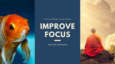 Image result for How to Focus Tutorial