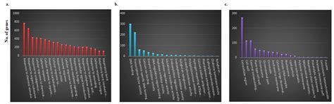 Red Chinese Cabbage Transcriptome Analysis Reveals Structural Genes and ...