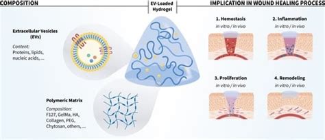 Extracellular Vesicle-Based Hydrogels for Wound Healing Applications