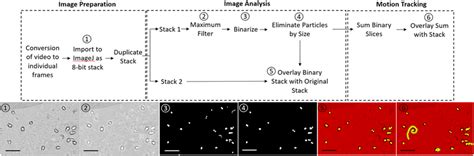 Image result for Point Tracking Algorithm