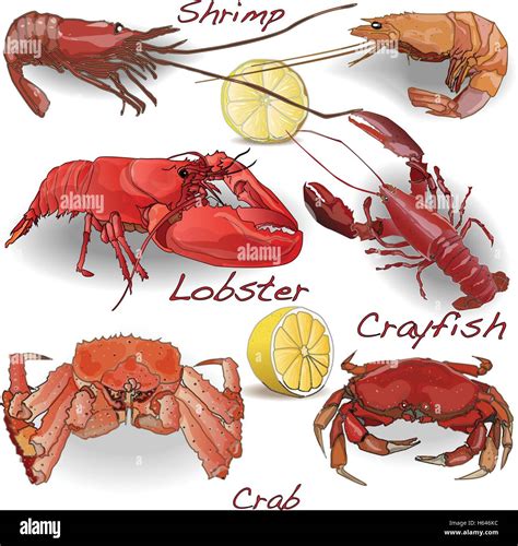 Crab Lobster Clipart at Jeanette Taylor blog