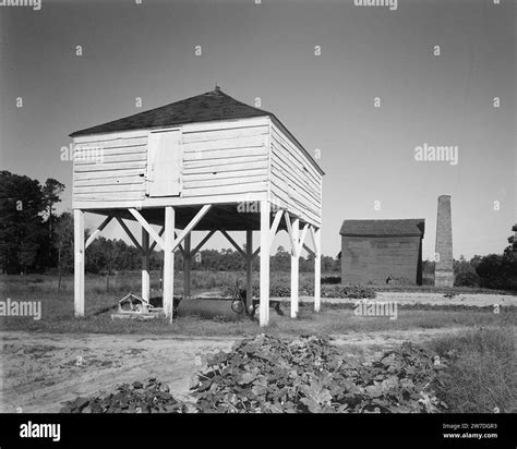 Winnowing house Mansfield Plantation Georgetown County Stock Photo - Alamy