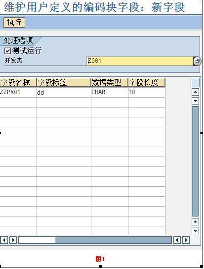 SAP Coding Block 的图像结果