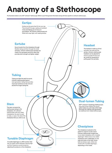 Best Littmann For Me