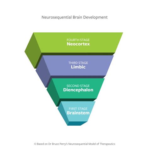 Beaconhouse Neurosequential Model 的图像结果