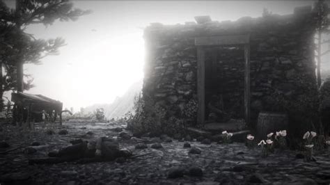 Image result for RDR2 Clean Folder