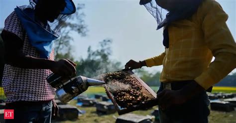 Assam's migratory beekeepers and their hives follow the flowers to make ...