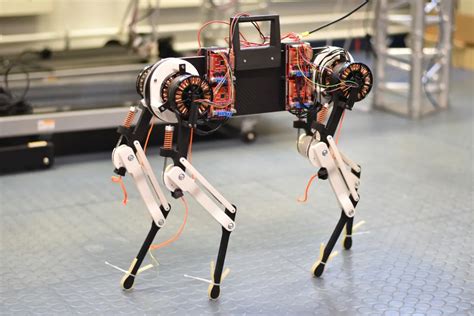 Scientists have created a self-learning robot dog - Enterprise Viewpoint