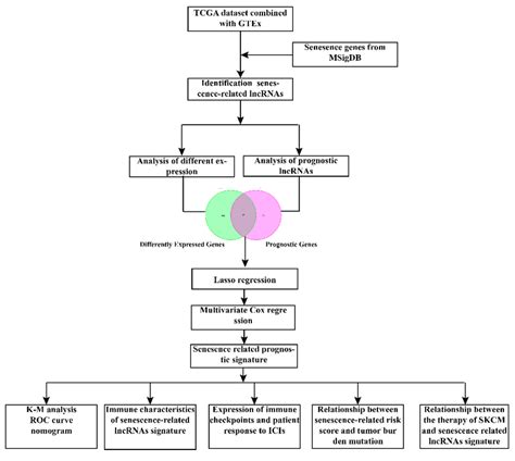 Flowchart TCGA 的图像结果