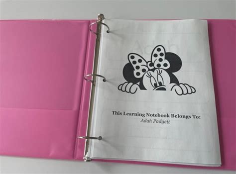 Learning Notebook 的图像结果