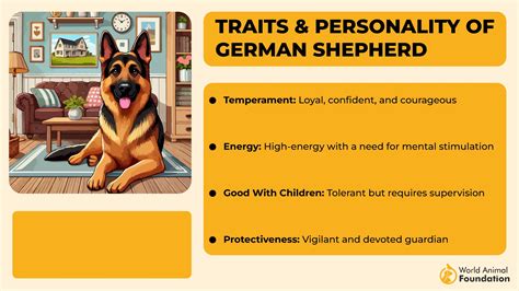 9 Ultimate Dog Breeds That Will Always Have Your Back