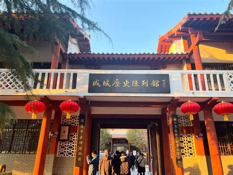 行走河南·读懂中国 | 来濮阳看看“中华第一龙”里的甲骨文写法构型 - 河南省文化和旅游厅
