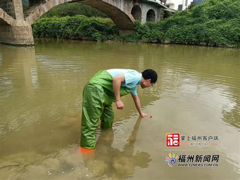 福建漳州：打造乡村生态水系景观带 _大闽网_腾讯网