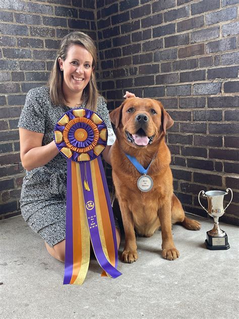 Midwest Labrador Retriever Club of IA #2 – Friday, September 9, 2022 | Canine Chronicle