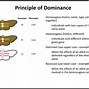 Image result for dominant