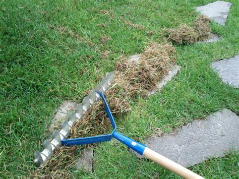 Rastrello per arieggiare il prato ? Boiserie in ceramica  