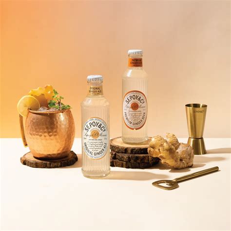 Ginger Mixer's Tasting Pack (Pack of 12)