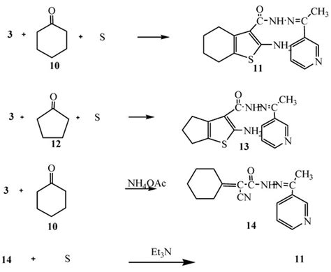 Novel Synthesis of Hydrazide-Hydrazone Derivatives and Their ...