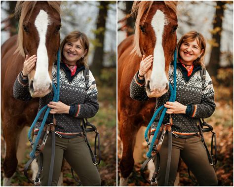 Equine Lightroom Presets | Warm Horse Photography (desktop & Mobile) - Etsy