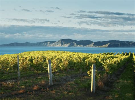 Palm Bay International - Breckenridge Wine Classic