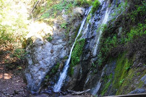 Pfeiffer Falls Trail (Pfeiffer Big Sur State Park, CA) – Live and Let Hike
