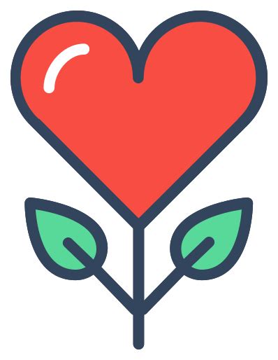 Caring for Air Plants 的图像结果