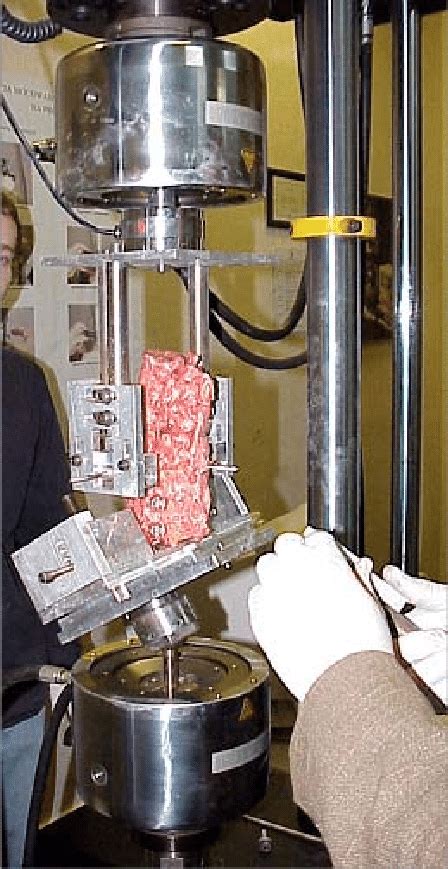 Spring Testing Spine 的图像结果