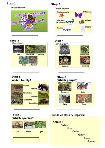 Image result for Classification GCSE Domain