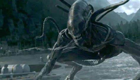 Image result for Alien Cov