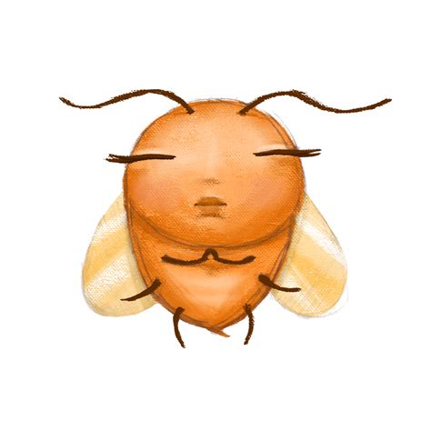 Image result for Insect Drawing