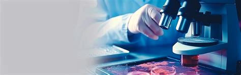 Dr. C.V.Raman University