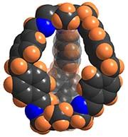 P S Mukherjee Supramolecular Group