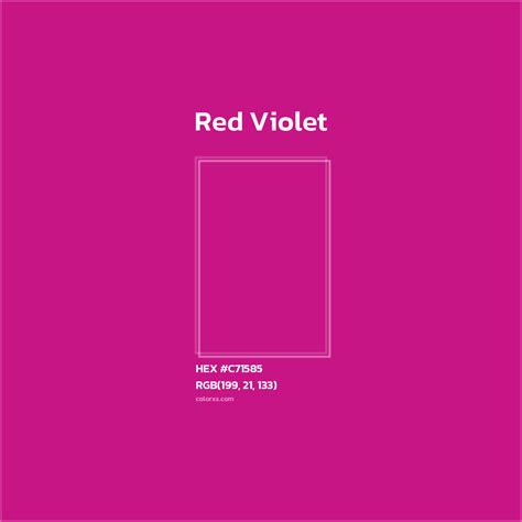 About Red Violet - Color codes | Matching colors and paints - colorxs.com
