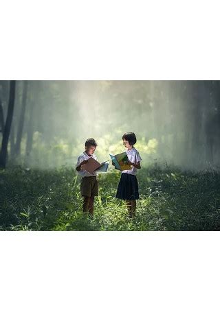 Local Development Plan Sample 的图像结果