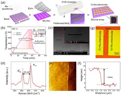 Bio-Separated and Gate-Free 2D MoS2 Biosensor Array for Ultrasensitive ...