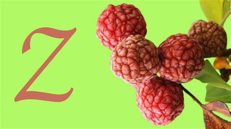 Fruits That Start With Z