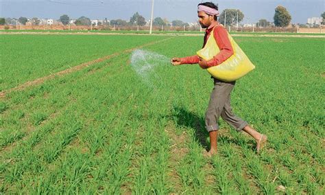 DAP Shortage a Symptom of Larger Food Planning Crisis | NewsClick