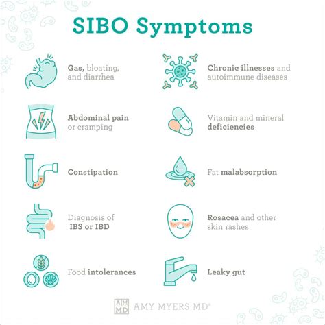 How Do I Know If I Have SIBO vs Candida? | Amy Myers MD