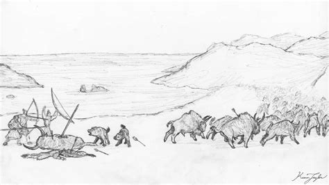 Bison Humans 的图像结果