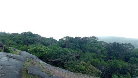 KUNDADRI MIST INN (Thirthahalli) - Inn Reviews, Photos, Rate Comparison ...