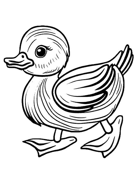 Duckling Coloring Page - MIT Printable