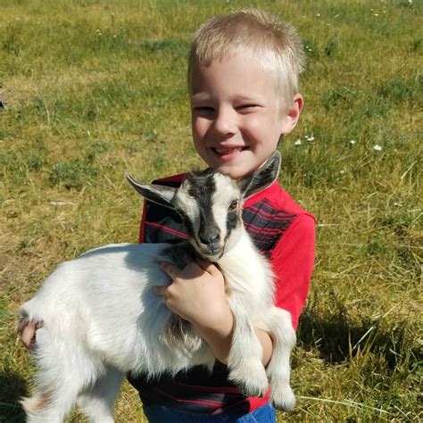 Cracking the It Can Precede Joel and Goat Crossword Clue Mystery - genus of goats crossword clue