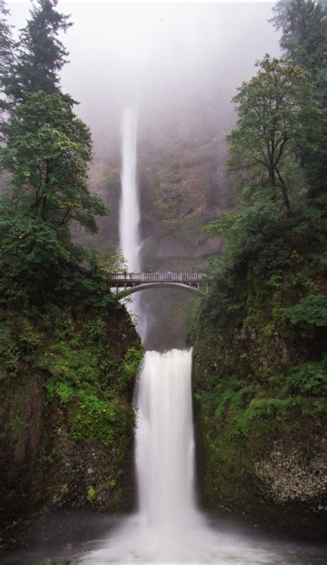 10 Amazing Waterfall Hikes In Oregon | Waterfall hikes, Oregon ...