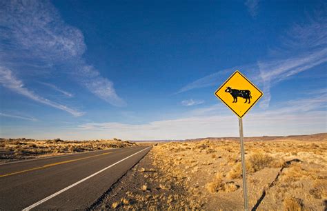 Lakeview to Steens Mountain Back Country Byway, US Vacation Rentals ...