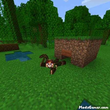 Image result for Minecraft Body Modification Mod