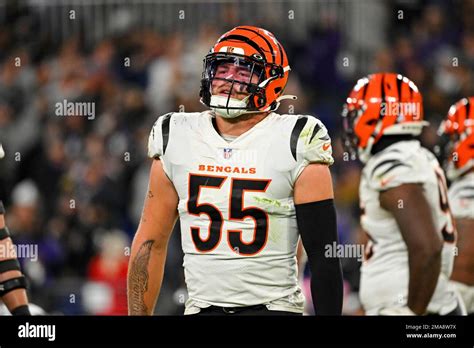 Cowboys release former Bengals linebacker Logan Wilson