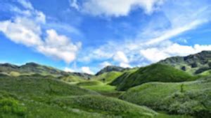 IDF Full Form, Israel Defense Forces