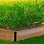 Image result for Raised Garden Beds Clearance